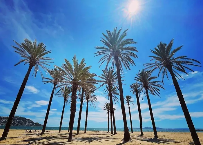 In Near Cap De Creus Roses